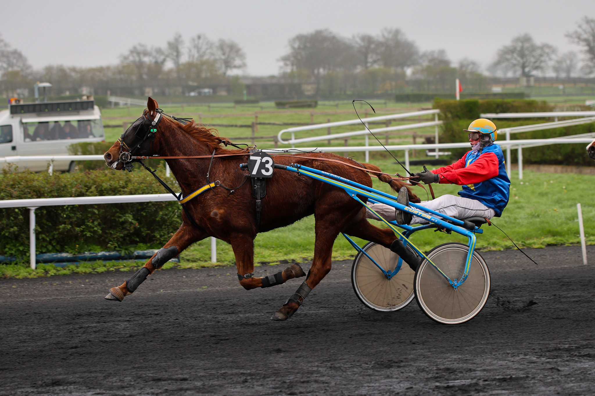 Narcisse D&rsquo;IDEF